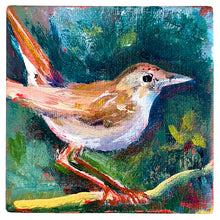 Load image into Gallery viewer, Young Nightingale