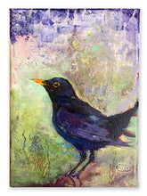 Load image into Gallery viewer, Big-eyed-Blackbird-LG-LoveliesGems-paintlikeabirdsings-painting-birds-13x18cm-basis-on-white