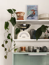 Load image into Gallery viewer, Hoopoe-bird-LG-LoveliesGems-paintlikeabirdsings-painting-birds-13x18cm-interior-1.jpg