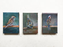 Load image into Gallery viewer, Jack-Jill-baby-Sparrow-LG-LoveliesGems-paint like a bird sings-painting-birds-13x18cm-series