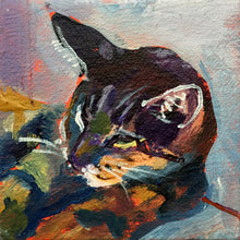 Load image into Gallery viewer, Stripey