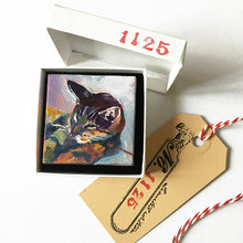 Load image into Gallery viewer, Stripey