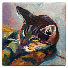 Load image into Gallery viewer, Stripey