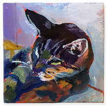 Load image into Gallery viewer, Stripey