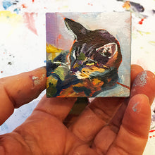 Load image into Gallery viewer, Stripey