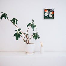 Load image into Gallery viewer, OrangeTip-LG-LoveliesGems-paintlikeabirdsings-painting-butterflies-france-10x10cm-white interior