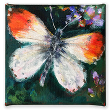 Load image into Gallery viewer, OrangeTip-LG-LoveliesGems-paintlikeabirdsings-painting-butterflies-france-10x10cm-on-white