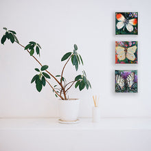 Load image into Gallery viewer, butterfies-LG-LoveliesGems-paintlikeabirdsings-painting-butterflies-france-10x10cm-interior-4