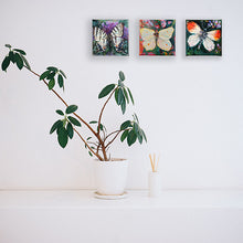 Load image into Gallery viewer, butterfies-LG-LoveliesGems-paintlikeabirdsings-painting-butterflies-france-10x10cm-interior