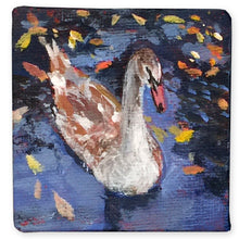 Load image into Gallery viewer, fledgling-swan-birdpainting-LG-paintlikeabirdsings-miniature-painting-no-771-5x5cm-basis-on-white