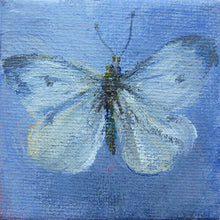 Load image into Gallery viewer, fragile-white-butterfly-LG-paintlikeabirdsings-miniature-painting-no644-butterflies-5x5cm-basis