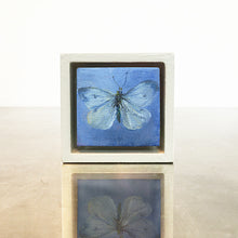 Load image into Gallery viewer, Fragile White