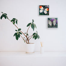 Load image into Gallery viewer, butterfies-LG-LoveliesGems-paintlikeabirdsings-painting-butterflies-france-10x10cm-interior