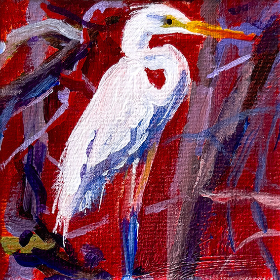 White Heron