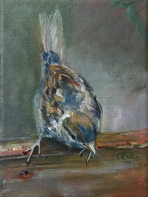 Baby-Sparrow-LG-LoveliesGems-paint like a bird sings-painting-birds-13x18cm-basis-1