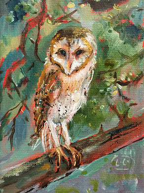 Barn-Owl-LG-paintlikeabirdsings-painting-birds-13x18cm-basis.jpg