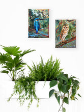 Load image into Gallery viewer, Barn-Owl-LG-paintlikeabirdsings-painting-birds-13x18cm-with two.jpg
