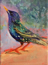 Load image into Gallery viewer, Big-Footed-Young-Starling-LG-BirdsISpotted-no.11-paintlikeabirdsings-painting-birds-13x18cm-basis-2
