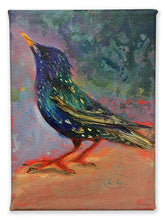Load image into Gallery viewer, Big-Footed-Young-Starling-LG-BirdsISpotted-no.11-paintlikeabirdsings-painting-birds-13x18cm-basis-on=white

