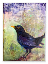 Load image into Gallery viewer, Big-eyed-Blackbird-LG-LoveliesGems-paintlikeabirdsings-painting-birds-13x18cm-basis-on-white
