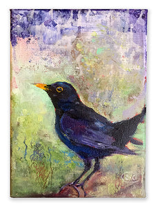 Big-eyed-Blackbird-LG-LoveliesGems-paintlikeabirdsings-painting-birds-13x18cm-basis-on-white