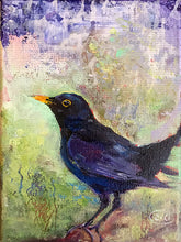 Load image into Gallery viewer, Big-eyed-Blackbird-LG-LoveliesGems-paintlikeabirdsings-painting-birds-13x18cm-basis

