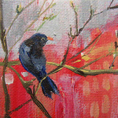 blackbird miniature painting 5x5cm LG #paintlikeabirdsings