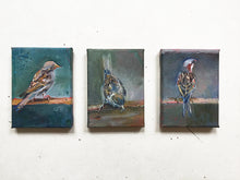 Load image into Gallery viewer, Jack-Jill-baby-Sparrow-LG-LoveliesGems-paint like a bird sings-painting-birds-13x18cm-series
