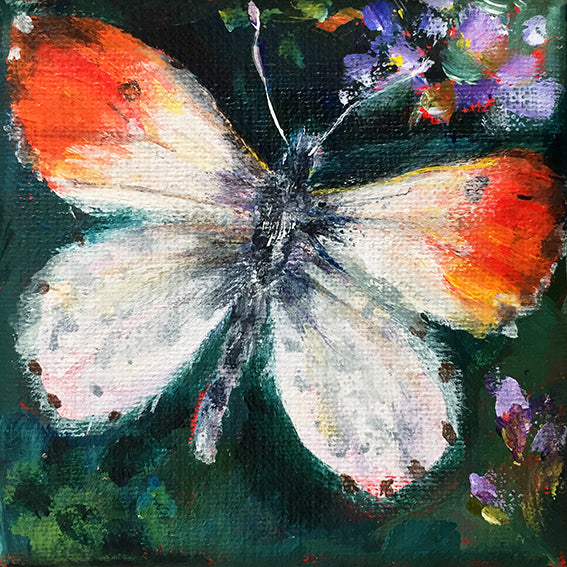 OrangeTip-LG-LoveliesGems-paintlikeabirdsings-painting-butterflies-france-10x10cm-basis