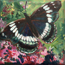 Load image into Gallery viewer, White-Admiral-LG-LoveliesGems-paintlikeabirdsings-painting-butterflies-france-10x10cm-basis
