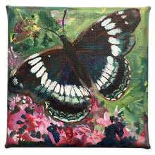Load image into Gallery viewer, White-Admiral-LG-LoveliesGems-paintlikeabirdsings-painting-butterflies-france-10x10cm-on white
