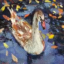 Load image into Gallery viewer, fledgling-swan-birdpainting-LG-paintlikeabirdsings-miniature-painting-no-771-5x5cm-basis
