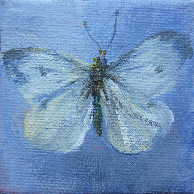 fragile-white-butterfly-LG-paintlikeabirdsings-miniature-painting-no644-butterflies-5x5cm-basis
