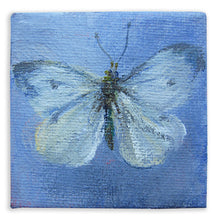 Load image into Gallery viewer, fragile-white-butterfly-LG-paintlikeabirdsings-miniature-painting-no644-butterflies-5x5cm-on white
