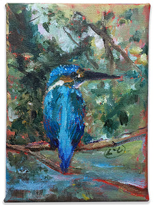 little-king-kingfisher-LG-paintlikeabirdsings-painting-birds-13x18cm-basis-on-white.jpg